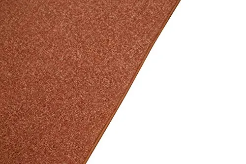 Modern Plush Solid Color Rug - Rust, 5' x 8', Pet and Kids Friendly Rug. Made in USA, Rectangle, Area Rugs Great for Kids, Pets, Event, Wedding