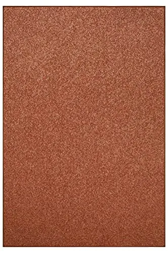 Modern Plush Solid Color Rug - Rust, 5' x 8', Pet and Kids Friendly Rug. Made in USA, Rectangle, Area Rugs Great for Kids, Pets, Event, Wedding