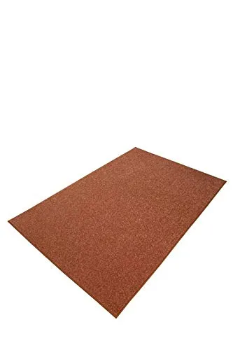 Modern Plush Solid Color Rug - Rust, 5' x 8', Pet and Kids Friendly Rug. Made in USA, Rectangle, Area Rugs Great for Kids, Pets, Event, Wedding