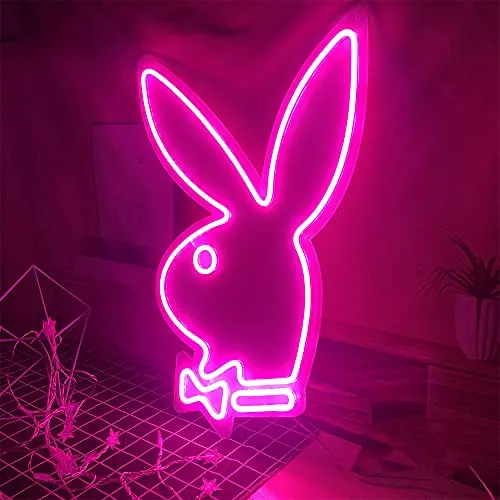 Neon Signs-USB Acrylic Lights Signs Indoor Bedroom Decor Wall Led Neon Sign Backdrop Flex 13.7×19.6 IN Bar Christmas Party Wedding Boy Living Room Shop Store Pink