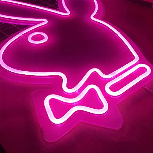 Neon Signs-USB Acrylic Lights Signs Indoor Bedroom Decor Wall Led Neon Sign Backdrop Flex 13.7×19.6 IN Bar Christmas Party Wedding Boy Living Room Shop Store Pink